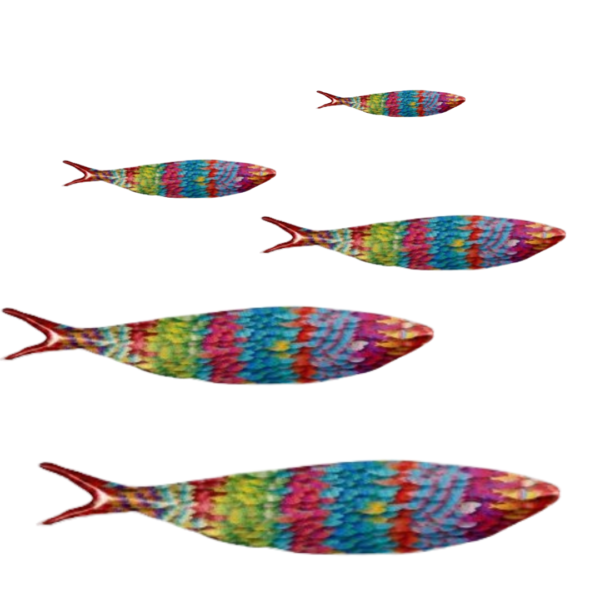 multicolour sardine