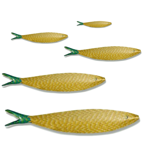 yellow sardine