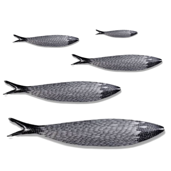 silver sardine