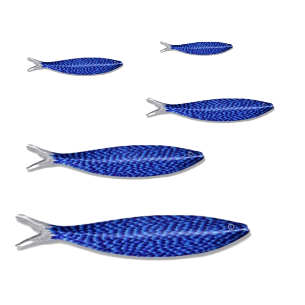 blue sardine