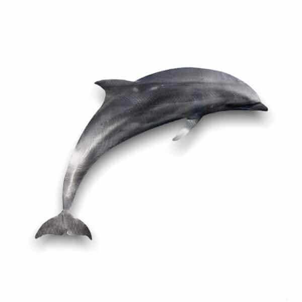 ασημένιο δελφίνι