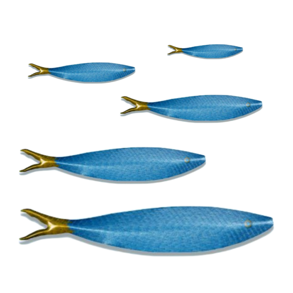 blue sardine