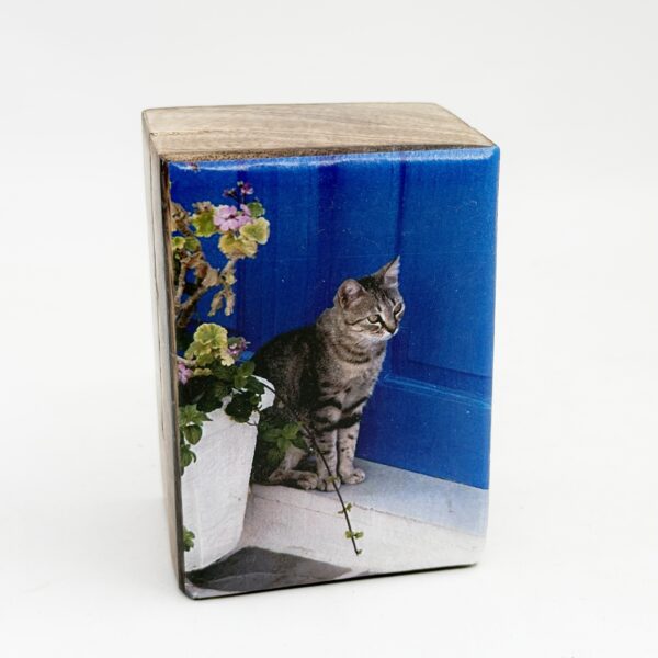 handmade wooden cat-to-door storage box