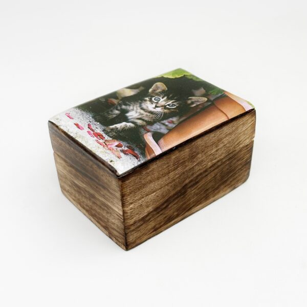 χειροποίητο ξύλινο αποθηκευτικό κουτί-γατάκι σε γλάστρα