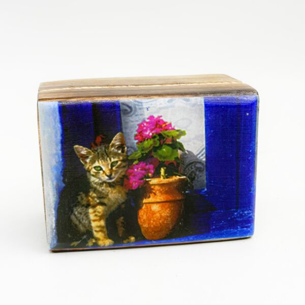 χειροποίητο ξύλινο αποθηκευτικό κουτί-ριγέ γατάκι